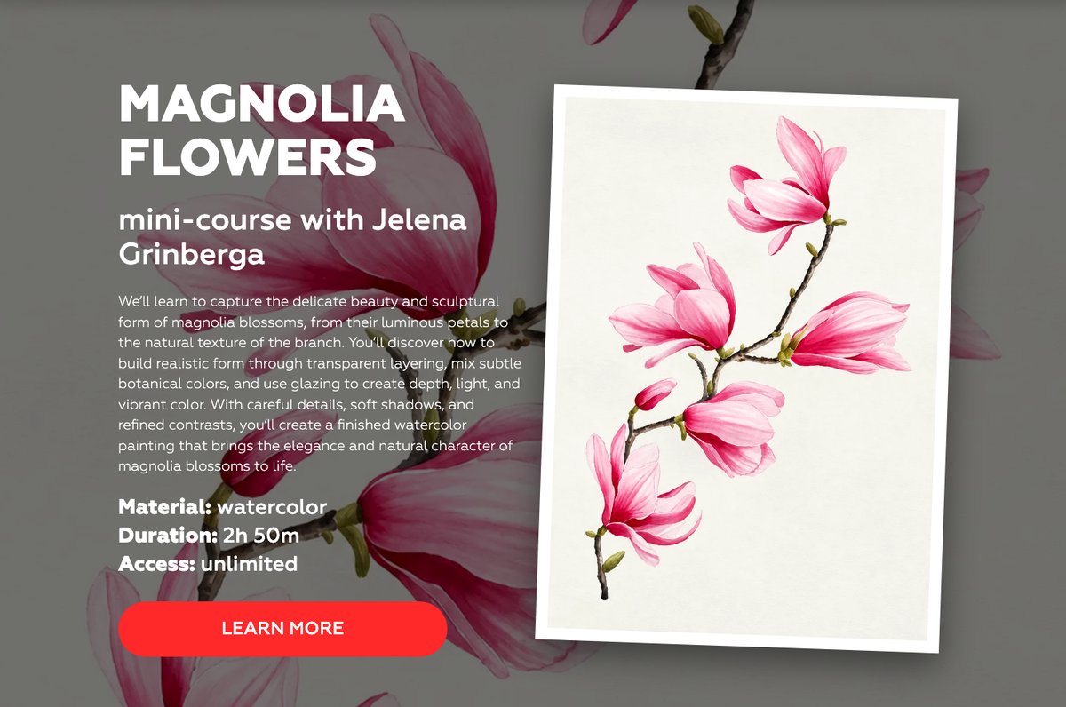 Magnolia Flowers mini-course