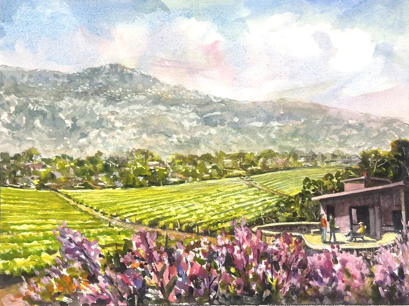 House by the Vineyard