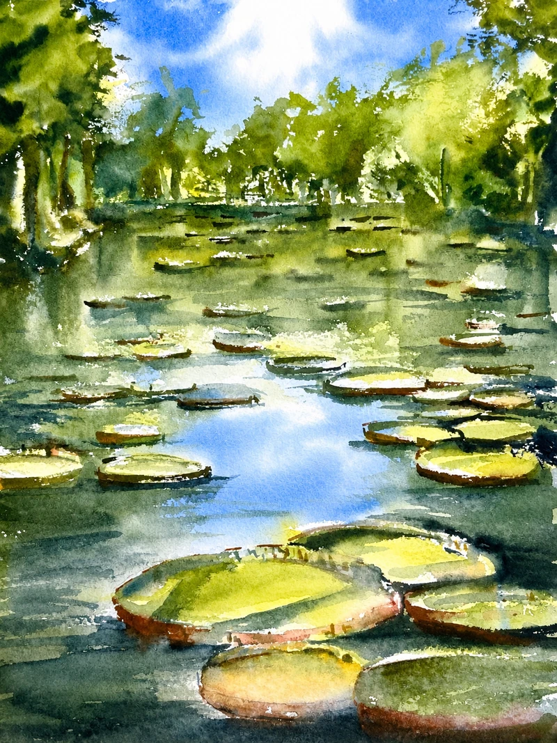 Water Lilies