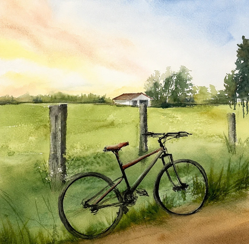 A Bicycle in the Field