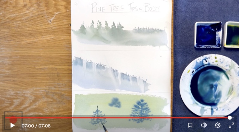 Pine Trees in Perspective